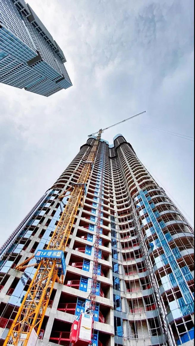 1646816152519452.jpg 6.jpg